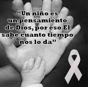 Meet your Posher, Felipe